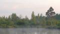 Early morning on the river with a lone tree and moving fog Video