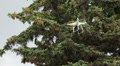 Multirotor, camcorder, Helicopter. 4K. Video