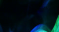 video clip 39749087
