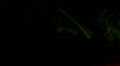 video clip 39752285