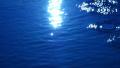 video clip 39762855