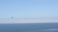 Lone Pelican Flys Past Camera Video