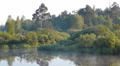 Early morning on the river with a lone tree and moving fog Video