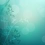 floral background