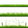 grass borders