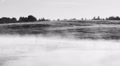 Mystical sunrise with the voices of crows and fog in the swamp Video