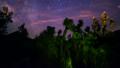 Milky Way Galaxy 40 Dolly R Timelapse Joshua Trees Video