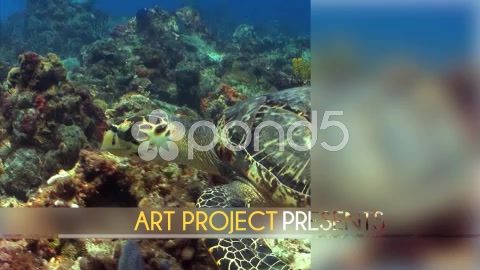 After Effects Project - Pond5 video presentation pack 40683515 After Effects Project - Pond5 video presentation pack 40683515