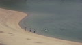Aerial View Of People Swimming At A Sandy Beach In Beppu Japan HD Video