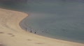 Aerial View Of People Swimming At A Sandy Beach In Beppu Japan 4K Video