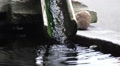 Bamboo Drainage Gutter Empties Into Pool Of Water Close Up HD Video
