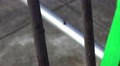 Spider Spinning Web On Rusty Steel Bars HD Video