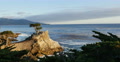 4K Lone Cypress 01 Sunset Ocean 17 Miles Drive Monterey California Video