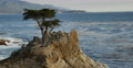 4K Lone Cypress 03 Sunset Ocean 17 Miles Drive Monterey California Video