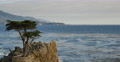 4K Lone Cypress 05 Sunset Ocean 17 Miles Drive Monterey California Video