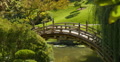 Japanese Garden Bridge 01 Video