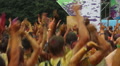 Crowd covered in colorful paint jumping to music at festival Video