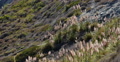 Big Sur 24 Pacific Coastline California Video