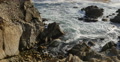 Lone Cypress 14 Tilt Up Sunset Ocean 17 Miles Drive Monterey California Video