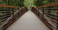 4K Redwood Forest Dolly 02 Bridge Big Sur California Video