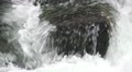 Rushing Water Fast Current A Flowing In The Hirai-gawa River Tokyo HD Video