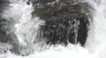 Rushing Water Fast Current A Flowing In The Hirai-gawa River Tokyo 4K Video