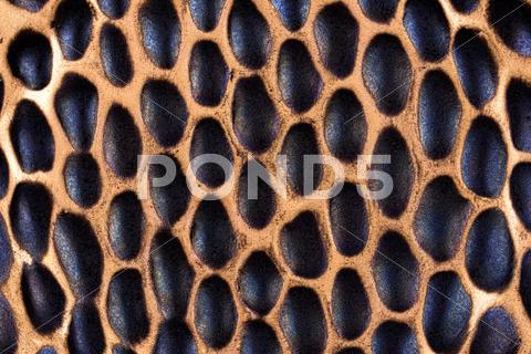 Stone Background In Animal Skin Pattern