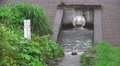 Water Flowing From Drain Pipe In To Canal In Forest Near Tama River 4K Video