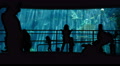 4K Aquarium Silhouettes 01 Family Crowds Video