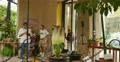 4K Corpse Flower 02 Carrion flower Huntington Botanical Gardens 8 Video