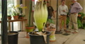 4K Corpse Flower 03 Carrion flower Huntington Botanical Gardens 7 Video