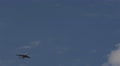 Arrival Jet Passenger Fly Aircraft Cargo Airplane Flying Blue Sky Background Day Video
