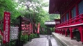 Red Shinto Templa In Green Forest On Rainy Day HD Video