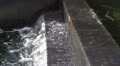 Waterfall Fountain - Stone Tile Stairs - Pool Of Water - Slow Motion 004 Video
