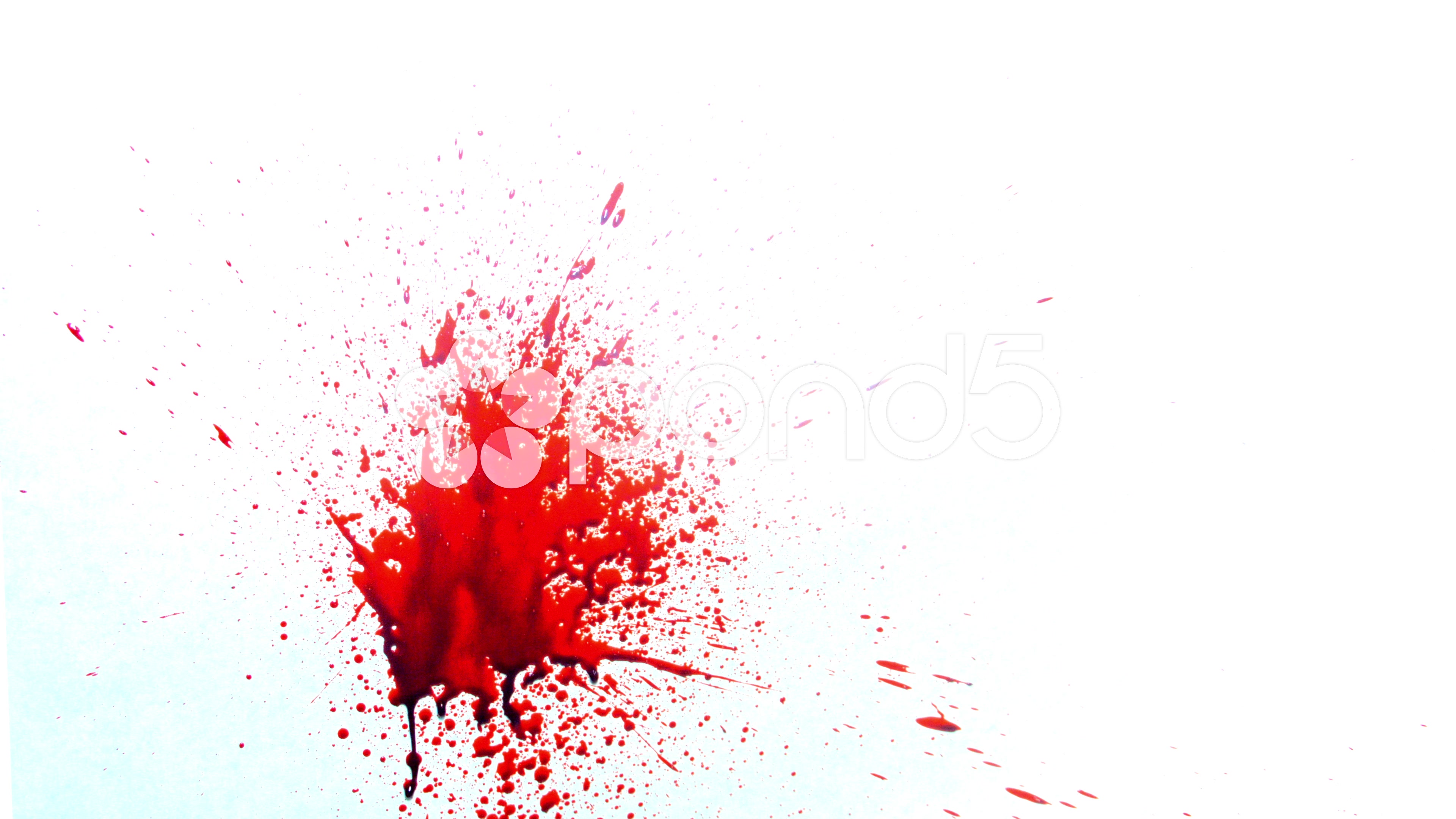 Blood Spatter Against A White Surface 4K Stock Video 42275815 | HD