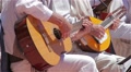 Traditional Canary musicians with guitar and bandurria Video