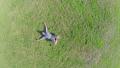Zoom-in aerial vertical view of young guy sleeping on grass Video