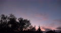 4k Swarm crows flying to city after sunset and bat awakes Video