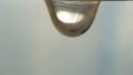 Water droplet (dripping tap) Video