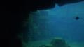 Humboldt penguins swimming in underwater cave Video