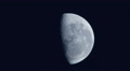 Waxing Gibbous Moon - Blue evening sky - Raw files Video