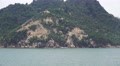 Tracking Shot Japanese Coastal Island 4K Video