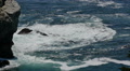 Big Sur Slow Motion 24 McWay Cove and California Coastline 96fps Video