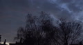 Crows flying away from tree while upcoming night Video