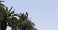 Departure Jet Passengers Fly Aircraft Airplane Flying Blue Sky Tropical Location Video