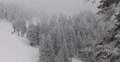 Spectacular Establishing Shot People Walking Frozen Forest Winter Snowy Mountain Video