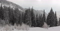 Panoramic Aerial View Pan Left Fir Tree Frozen Forest Mountain Winter Snow Frost Video
