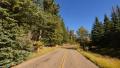 Driving through Foliage Forest 01 Grand Canyon North Rim Aspen Forest Video