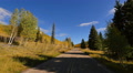 Driving through Foliage Forest 03 Grand Canyon North Rim Aspen Forest Video