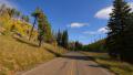 Driving through Foliage Forest 04 Grand Canyon North Rim Aspen Forest Video